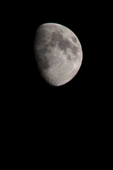 moon moon
