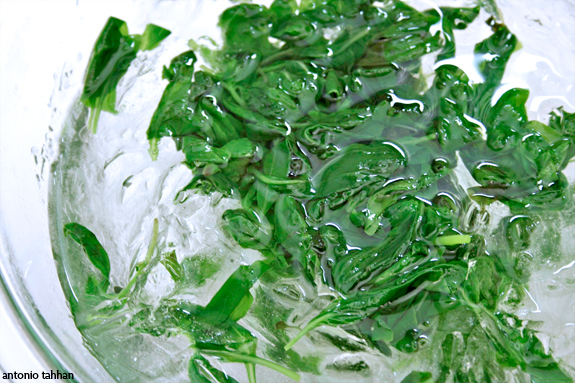 submerge in ice bath