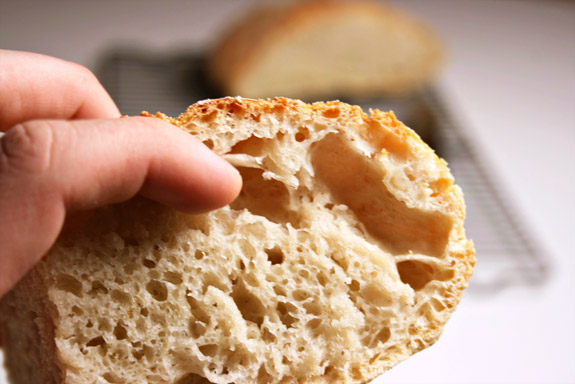 crumb structure