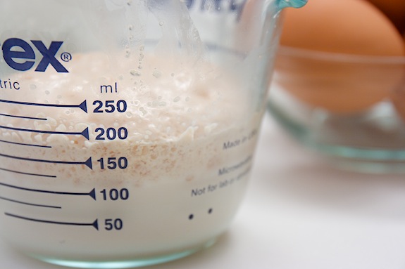 make sure your yeast is alive n' kicking yeast