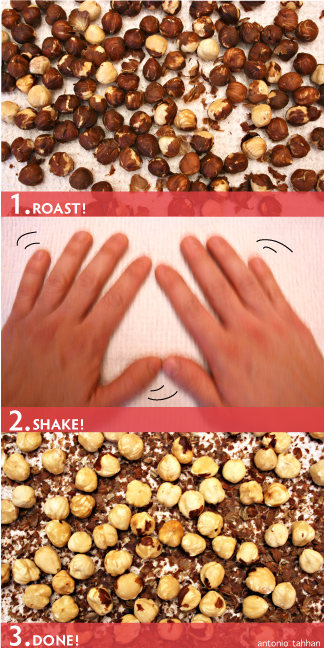 foodie magic