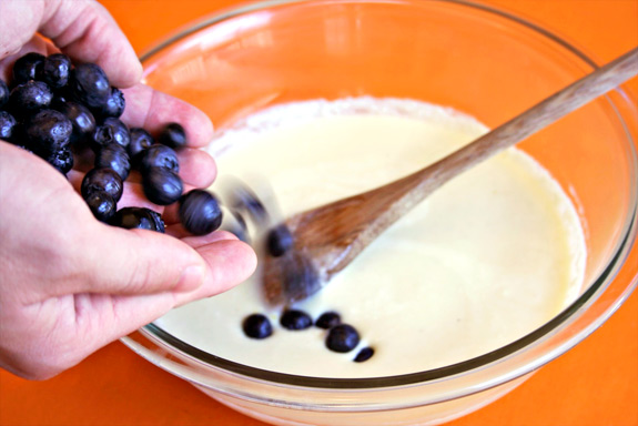 fresh summer blueberries