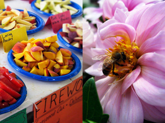 fruits and bee