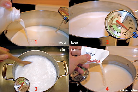 yogurt-making process