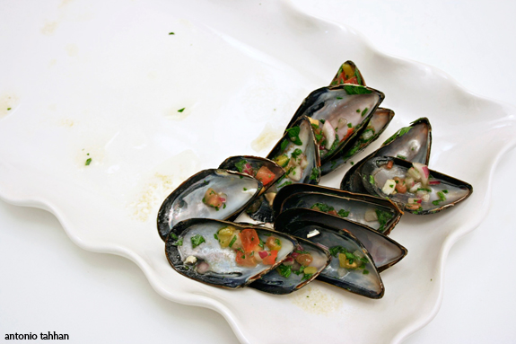 empty mussel shells