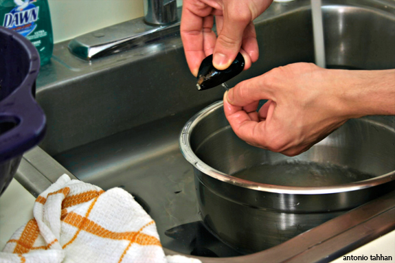washing the mussels