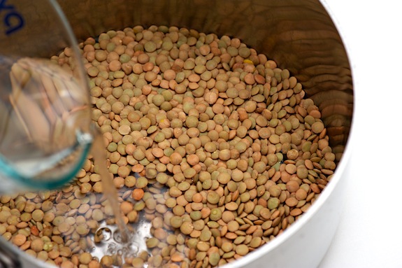 cover lentils with water cover lentils with water