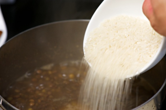 rice rice