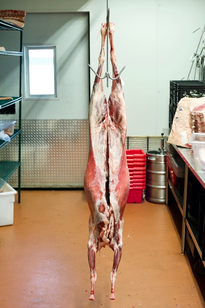 fresh lamb fresh lamb