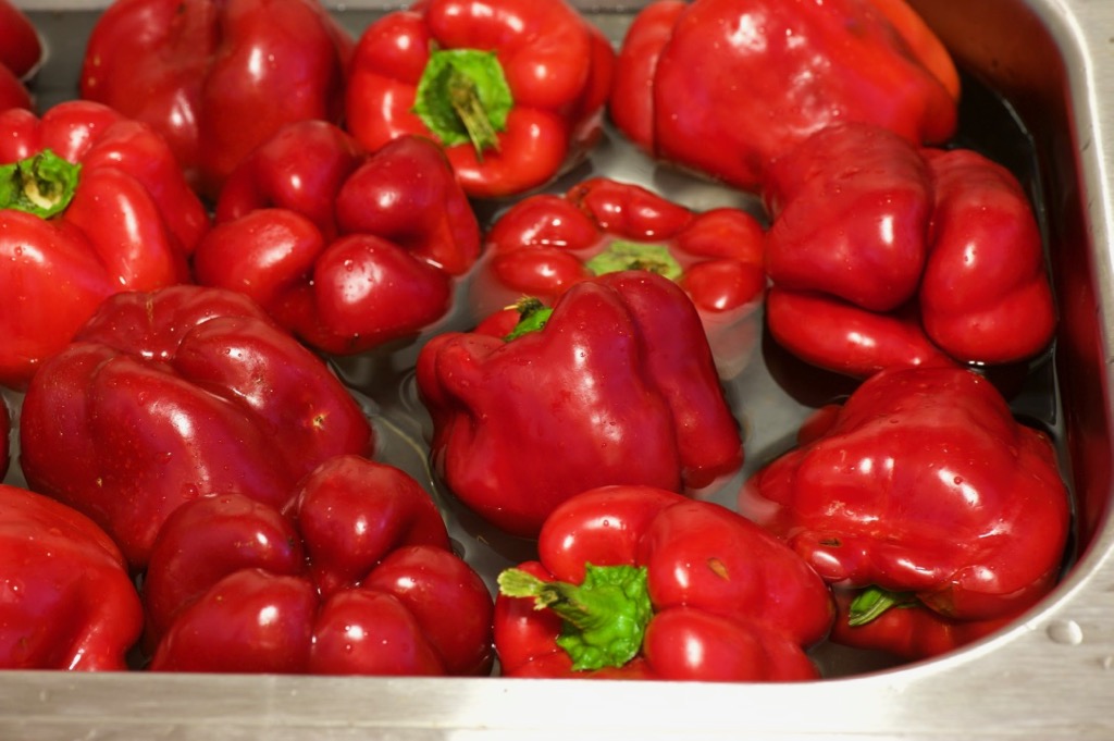 wash peppers wash peppers