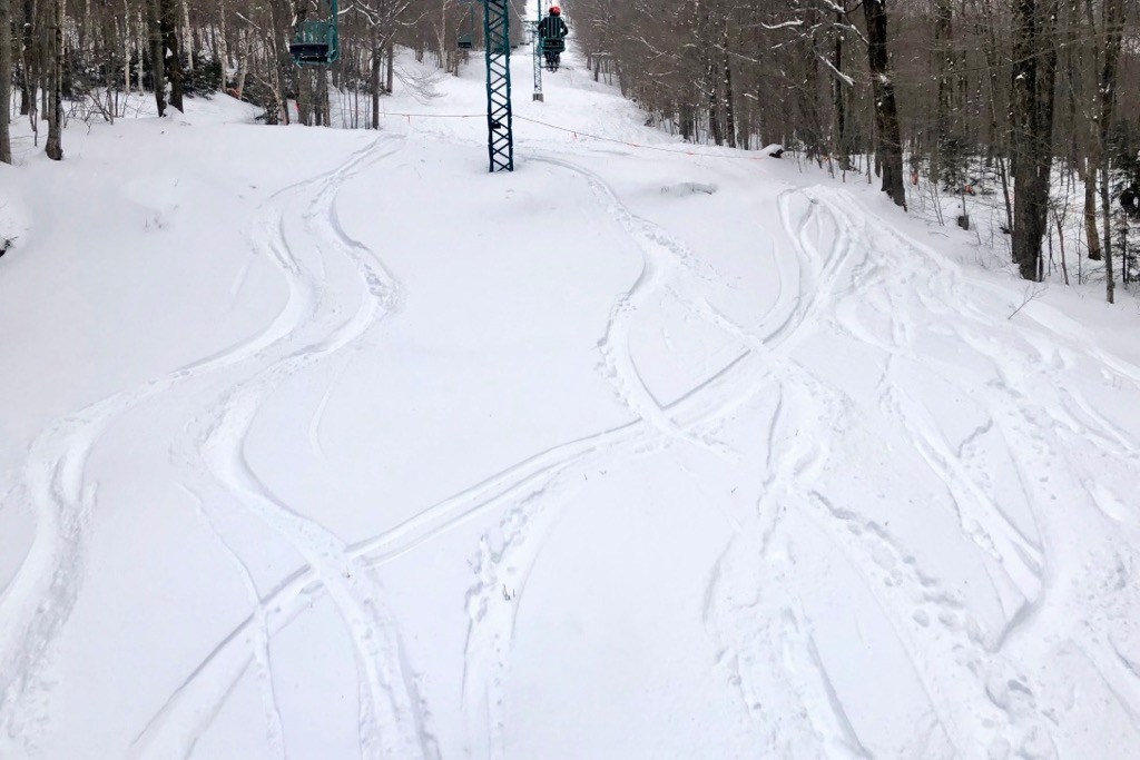 fresh powder fresh powder