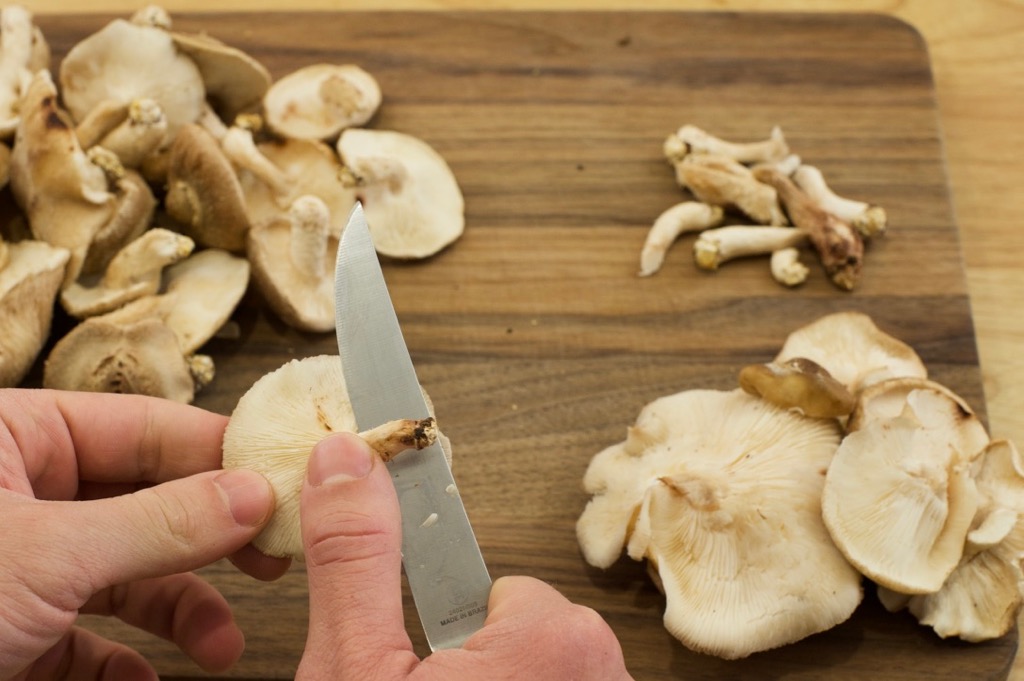 mushroom prep