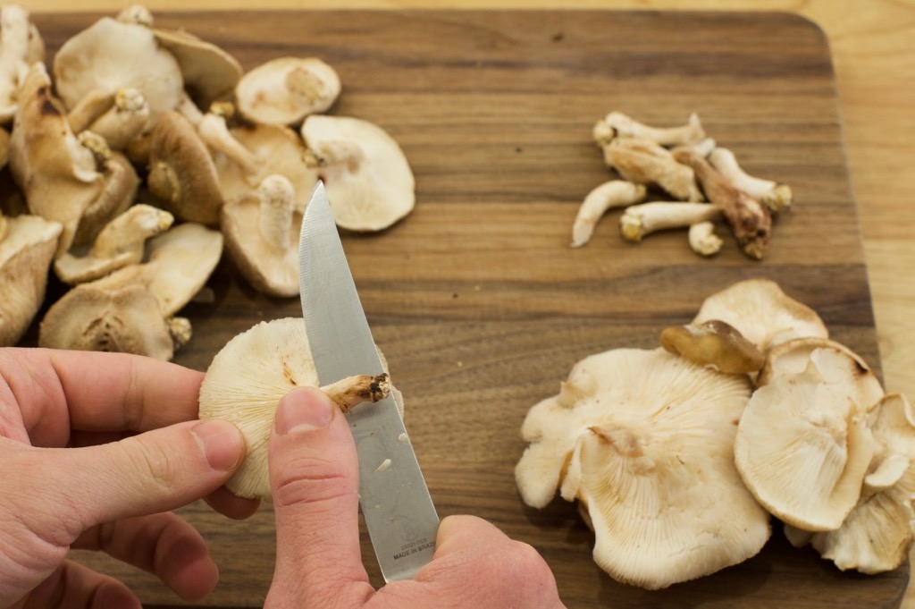 mushroom prep mushroom prep