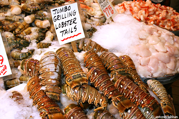 beautiful seafood