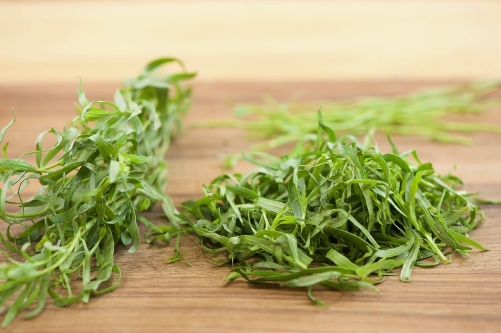 tarragon leaves