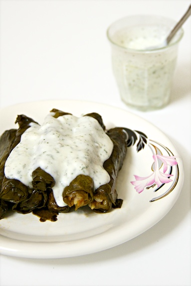 yabraq silq (يبرق سلق) yabraq silq
