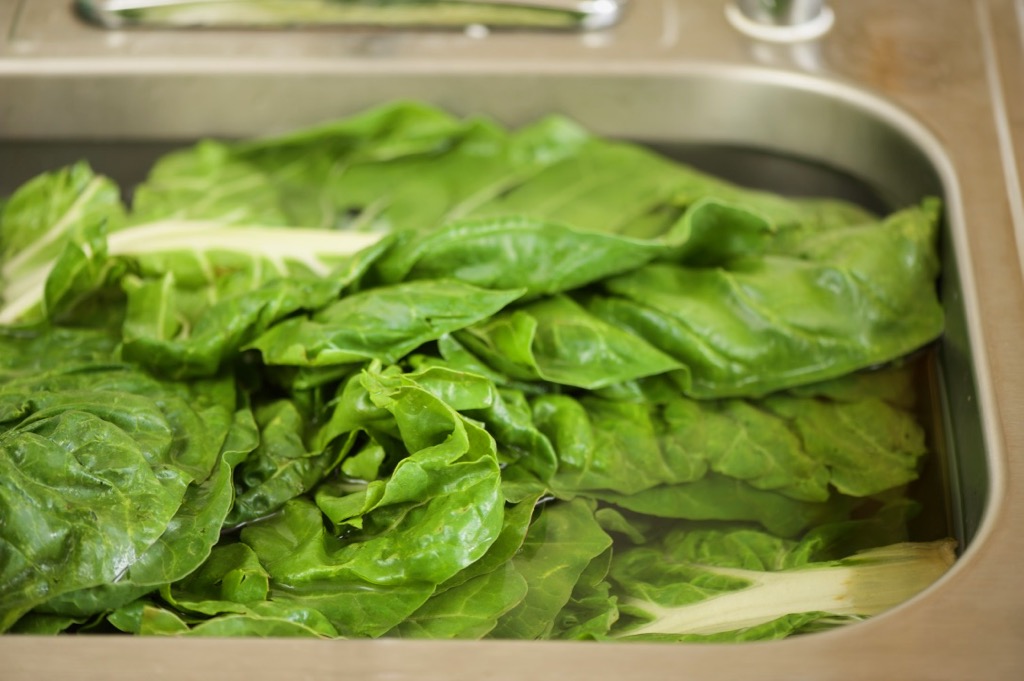 wash Swiss chard wash Swiss chard