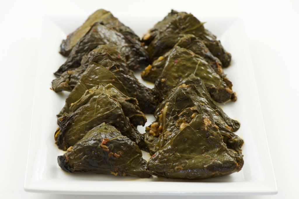 yalanji (يلنجي) yalanji (يلنجي)