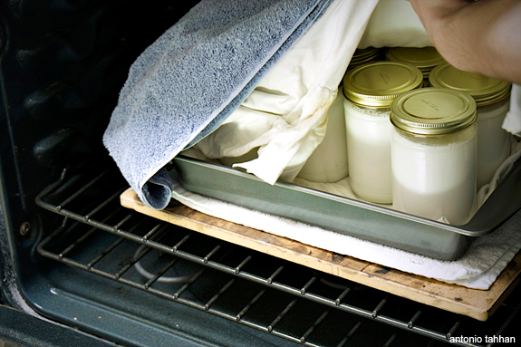 nestled inside the oven